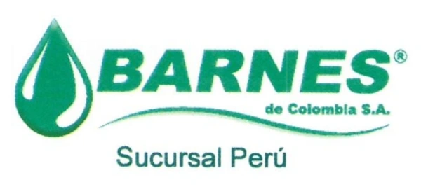 Logo_Barnes